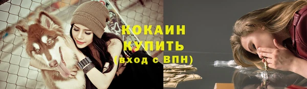 шишки Новокубанск