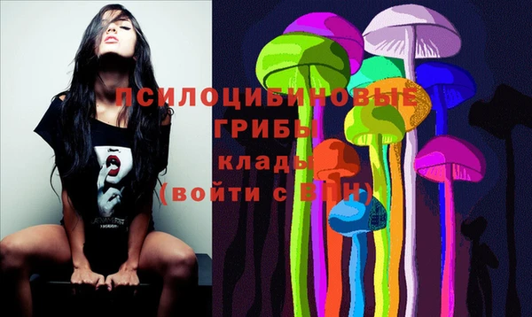 амф Пестово