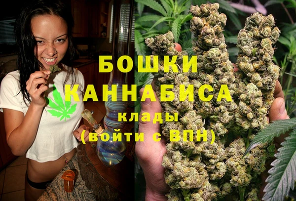 спайс Новодвинск